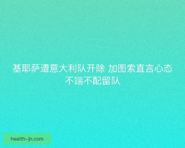 基耶萨遭意大利队开除 加图索直言心态不端不配留队