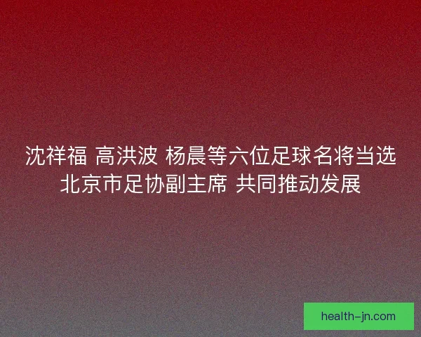 沈祥福 高洪波 杨晨等六位足球名将当选北京市足协副主席 共同推动发展