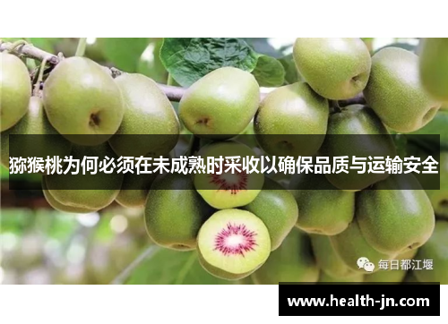 猕猴桃为何必须在未成熟时采收以确保品质与运输安全
